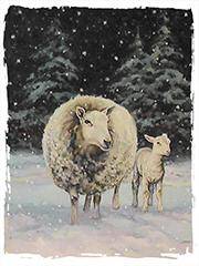 Sheep and Summer Hay!