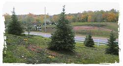 Greetings from the Studio and the Farm!