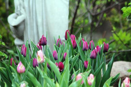 Inspiration In The Air