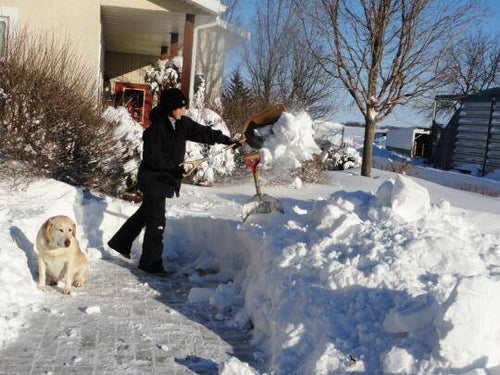 Merry Christmas to all!