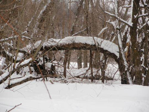 Moving through January!...