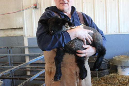 New Hope and New Life!