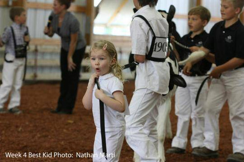 Dairy Photo Winners: Week 4