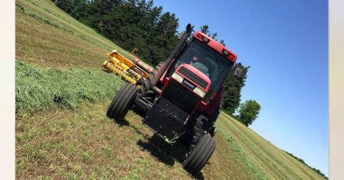 Gotta Make Hay When The Sun Shines!