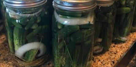 Pickles, pickles... EVERYWHERE!