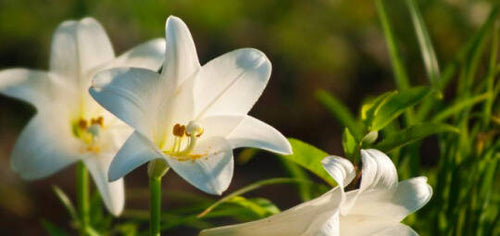 Farwell for a little while...