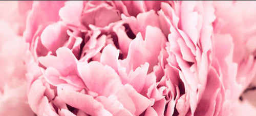 Wedding Weekend Bliss!