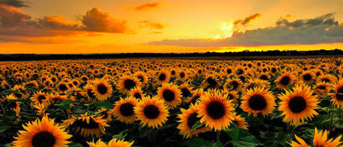 Summer, Fall & everything in-between!