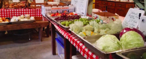 A Visit to Donna's Farm!