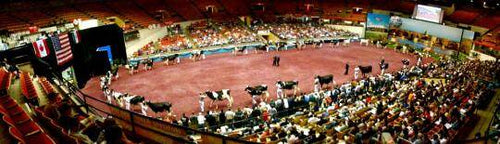 Good Times at World Dairy Expo