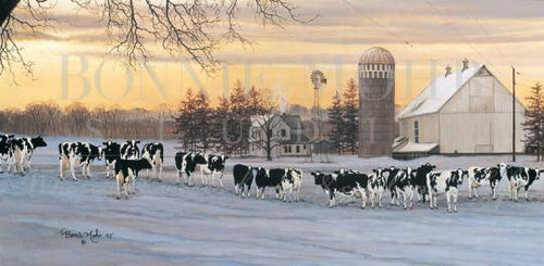 Winter returns & the renovation continues!