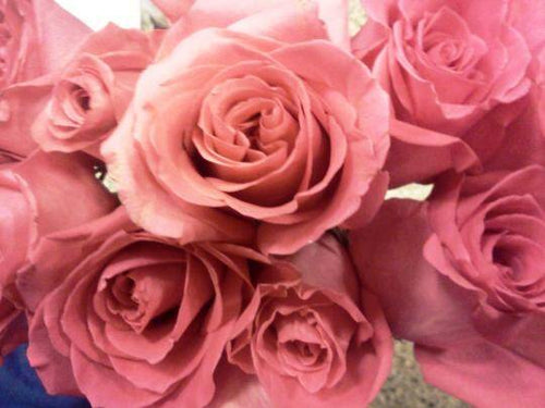 On the easel-Living Today