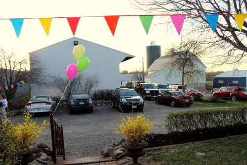 A Day At Bonnie Mohr Studio