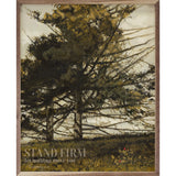 Wood Art - Stand Firm