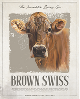 Incredible Brown Swiss