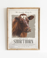 Incredible Milking Shorthorn