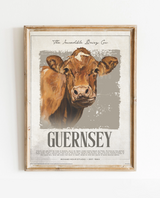 Incredible Guernsey