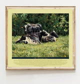 The Beautiful Cow - With Verse