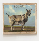 GRACEY THE GOAT | Farm Animal Series