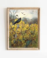 Crow in the Vineyard