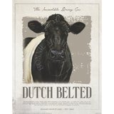 Incredible Dutch Belted