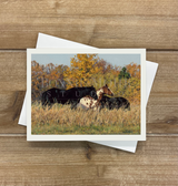 Card - Autumn Beauties