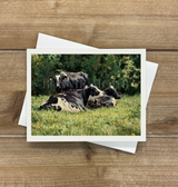 Card - The Beautiful Cow