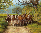 Creation of the Cow - Ayrshire