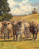 Creation of the Cow - Jersey