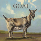 GRACEY THE GOAT | Farm Animal Series