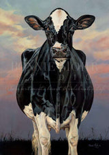 Have Holsteins - No Text