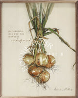 Wood Art - Vegetable Series (With Verse)