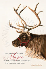 Reindeer Magic