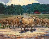 Card - She's Got The Look