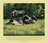 The Beautiful Cow - With Verse