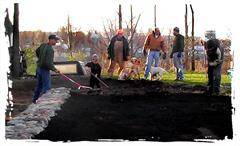 The Landscaping continues!