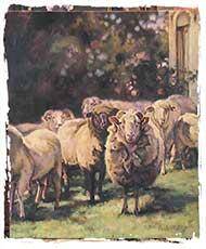 Sheep, Cows, and Baseball