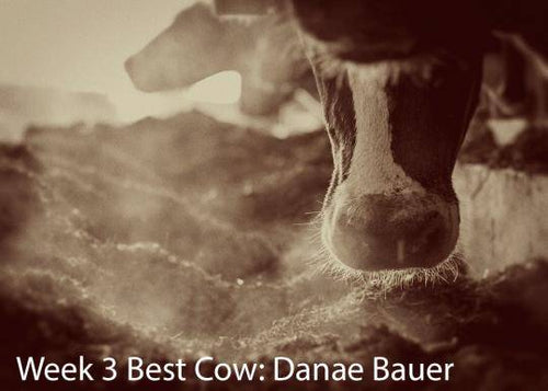Dairy Photo Winners: Week 3
