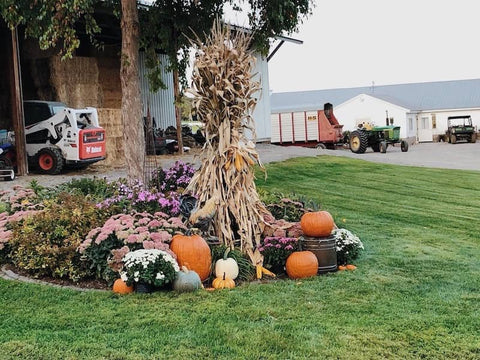 Fall Open House