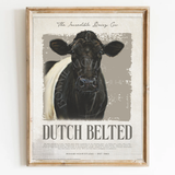 Incredible Dutch Belted