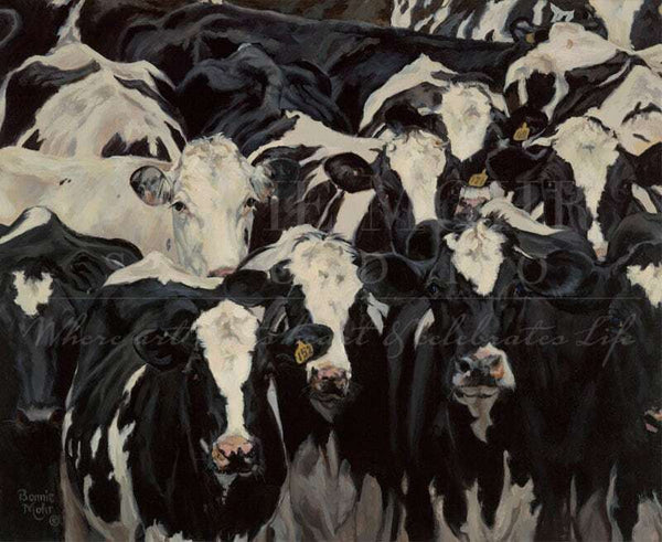 Cow Crowd