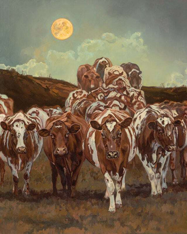 Creation of the Cow - Milking Shorthorn