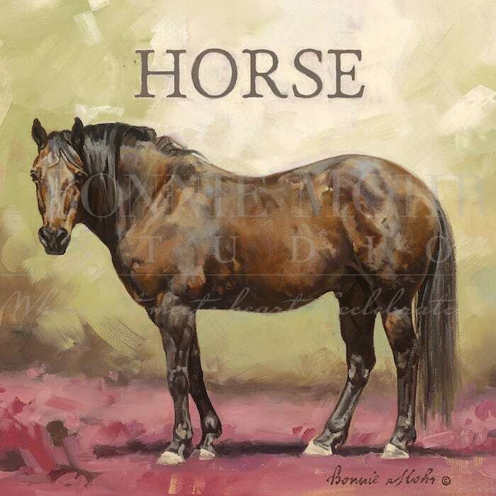HENRY THE HORSE | Farm Animal Series