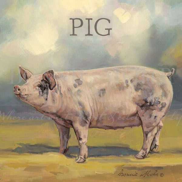 PIPER THE PIG | Farm Animal Series