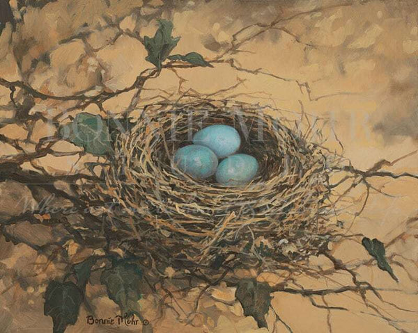 Card - Robin's Nest