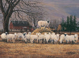 The Wool Gathering