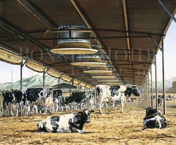 Under The Cow Shade